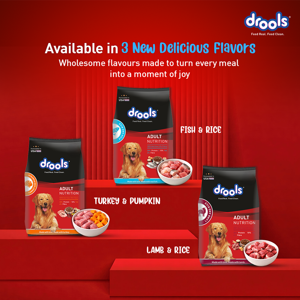 Drools Fish and Rice Adult Dog Dry Food