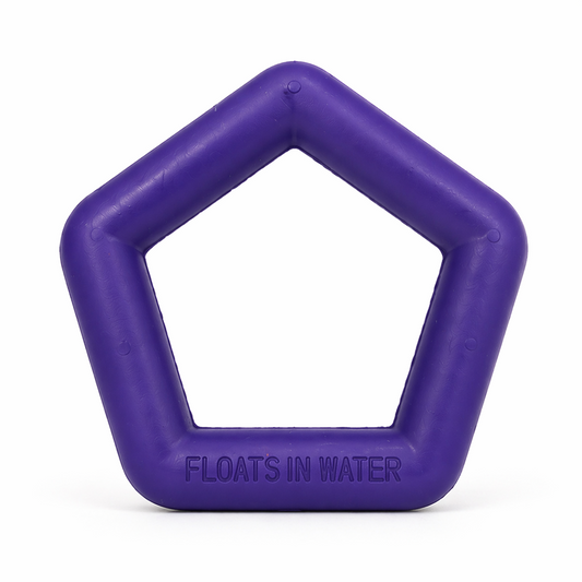 Talking Dog Club Sturdy Hexagon Floater Chew Toy for Dogs (Purple)