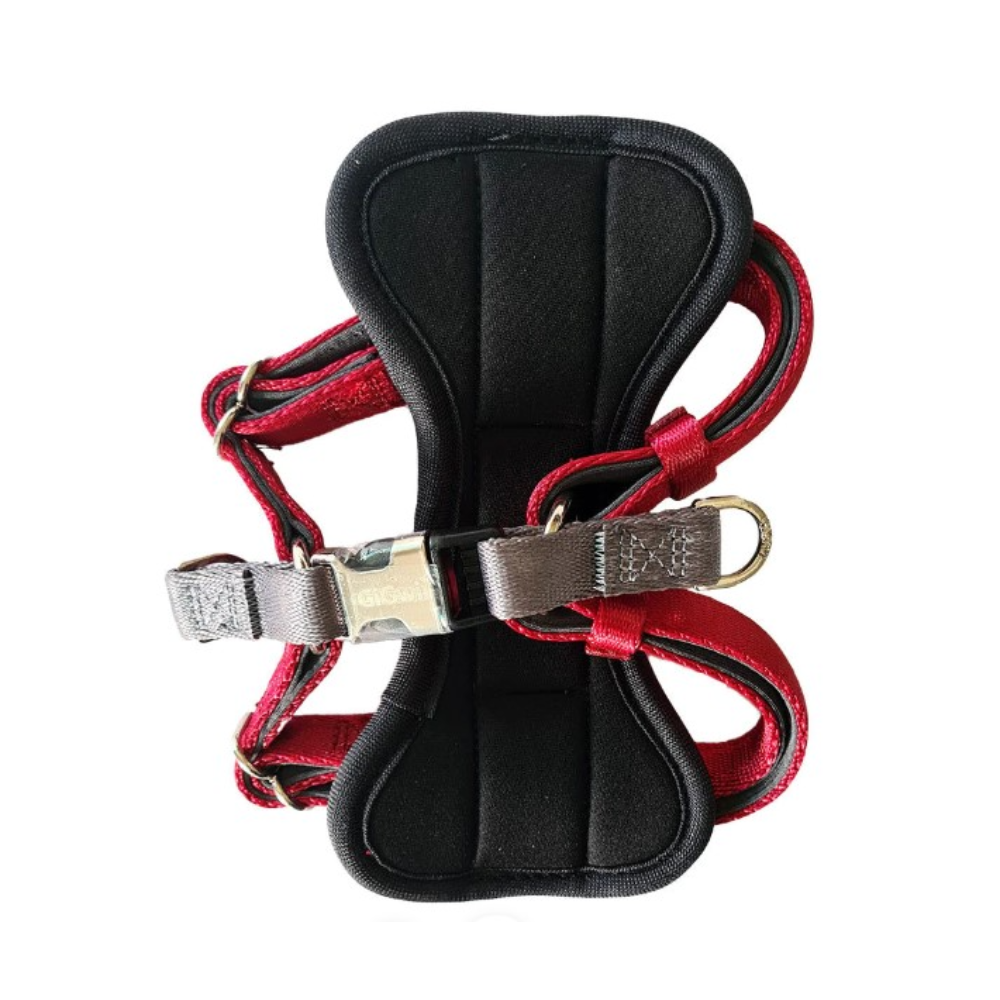 GiGwi Premium Line Harness for Dogs (Red)