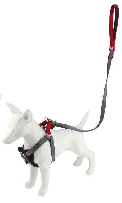 GiGwi Premium Line Harness for Dogs (Grey)