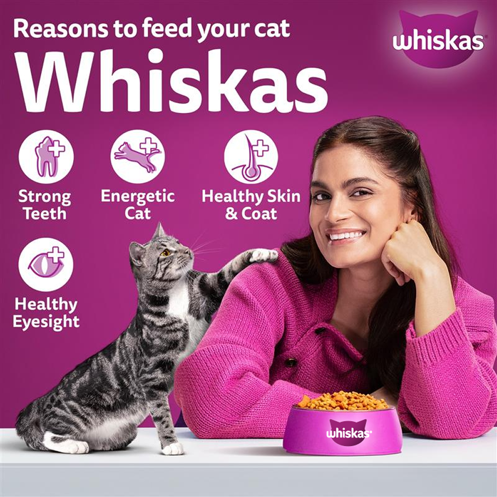 Whiskas Adult Cat Food Combo |Ocean Fish Dry & Salmon in Gravy Wet