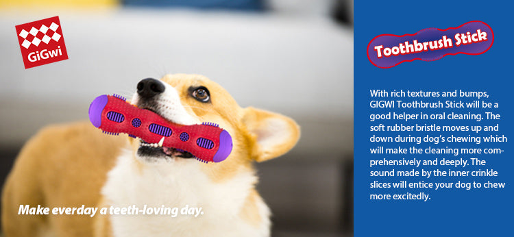 GiGwi Toothbrush Stick with Crackle Toy for Dogs(Red & Purple)