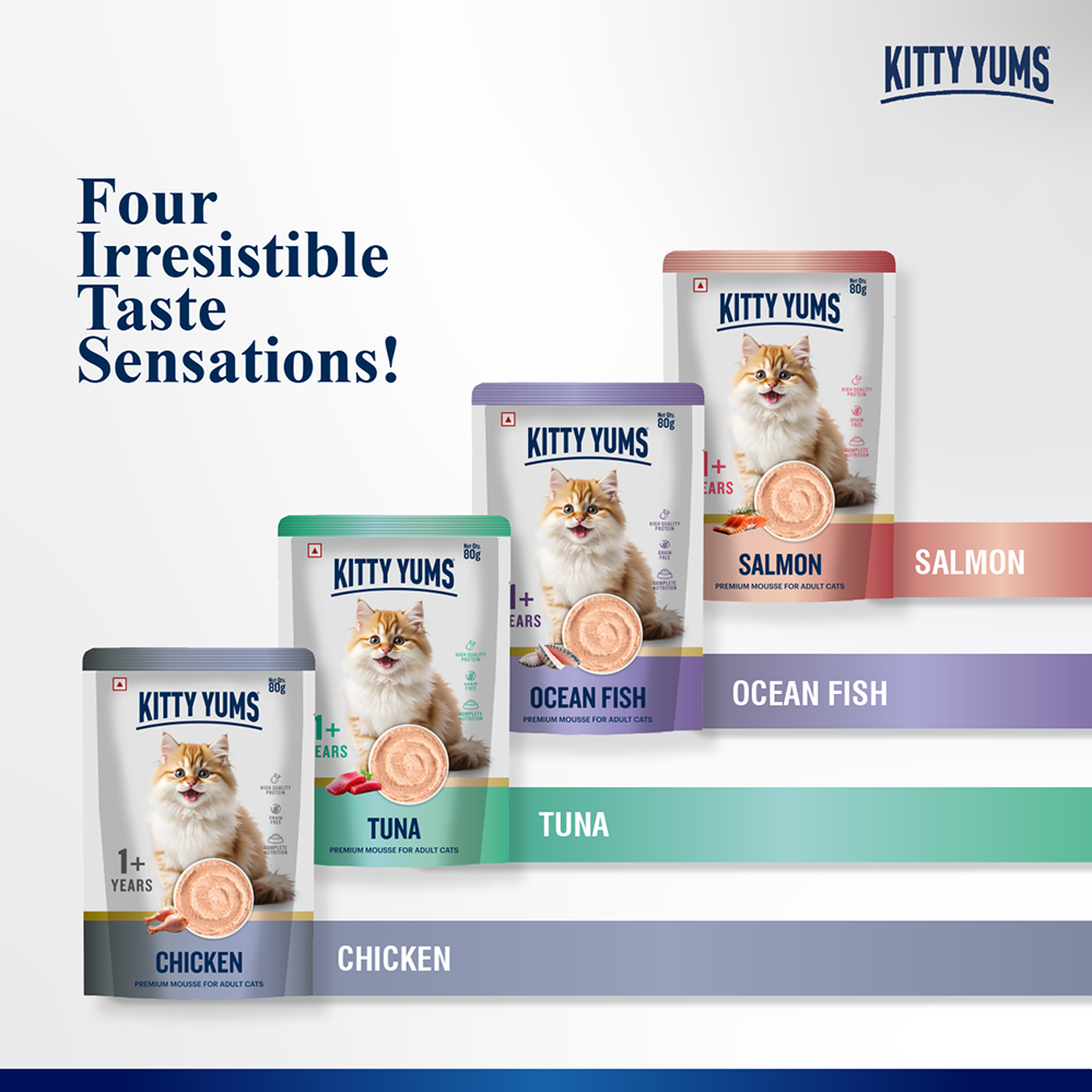 Kitty Yum Chicken Mousse Adult Cat Wet Food