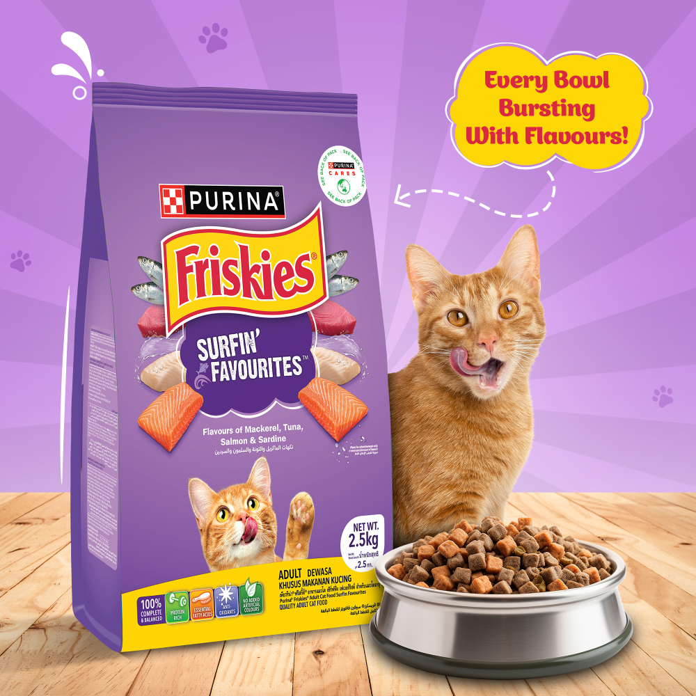 Friskies Surfin Cat Dry Food and Purina Felix Chicken with Jelly Adult Cat Wet Food Combo