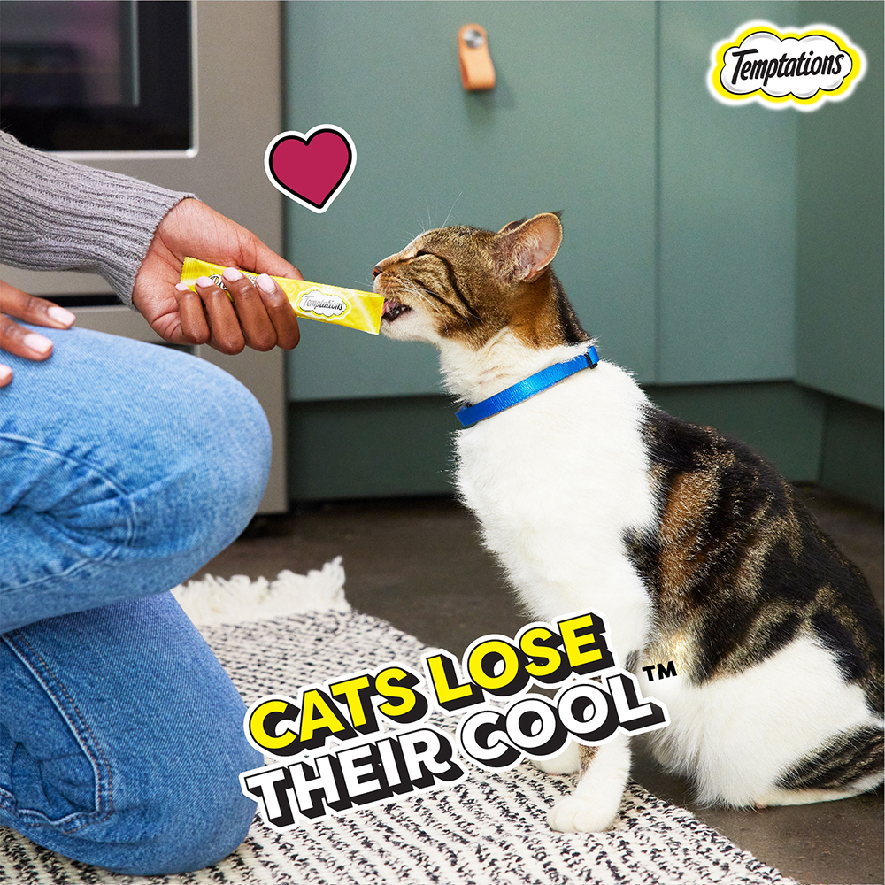 Temptations Creamy Purrrr ee Chicken & Tuna Cat Treats