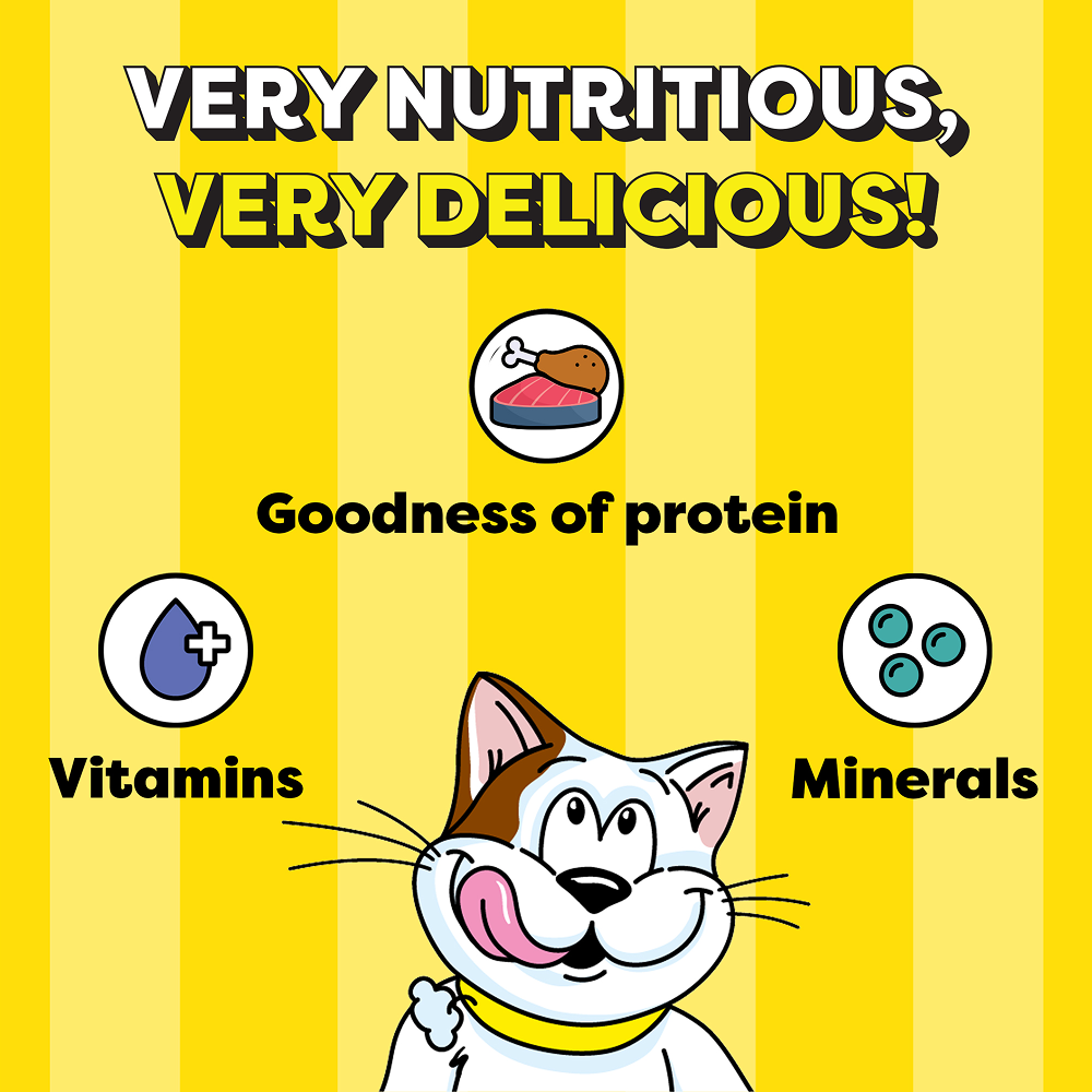Temptations MixUps Chicken & Salmon Flavour Cat Treats
