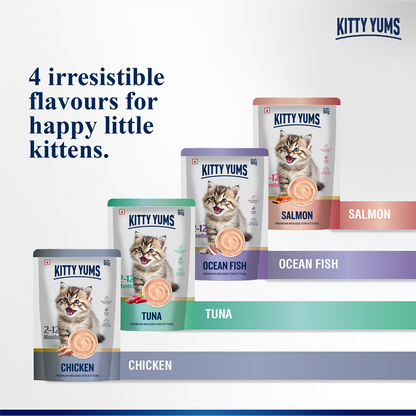 Kitty Yum Ocean Fish Mousse Kitten Cat Wet Food