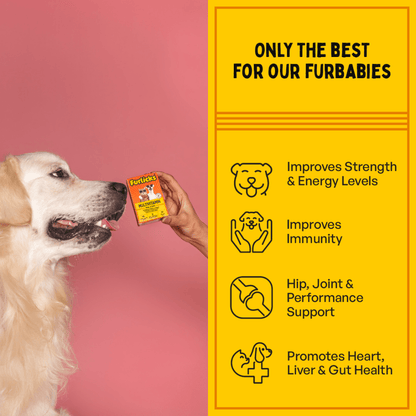 Furlicks Multivitamin & Gut Health Supplement Combo for Cats and Dogs