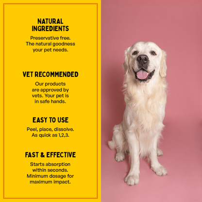 Furlicks Fresh Breath Oral & Multivitamin Health Strips Combo for Cats and Dogs