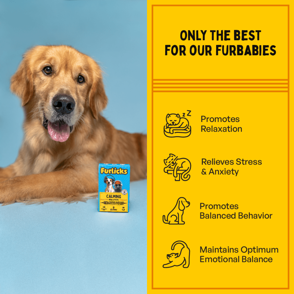 Furlicks Skin Coat & Calming Aid Health Supplement Combo for Dogs & Cats