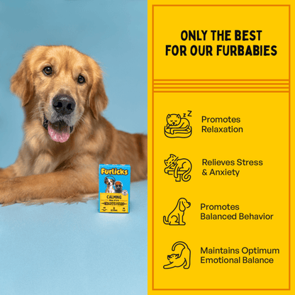 Furlicks Skin Coat & Calming Aid Health Supplement Combo for Dogs & Cats