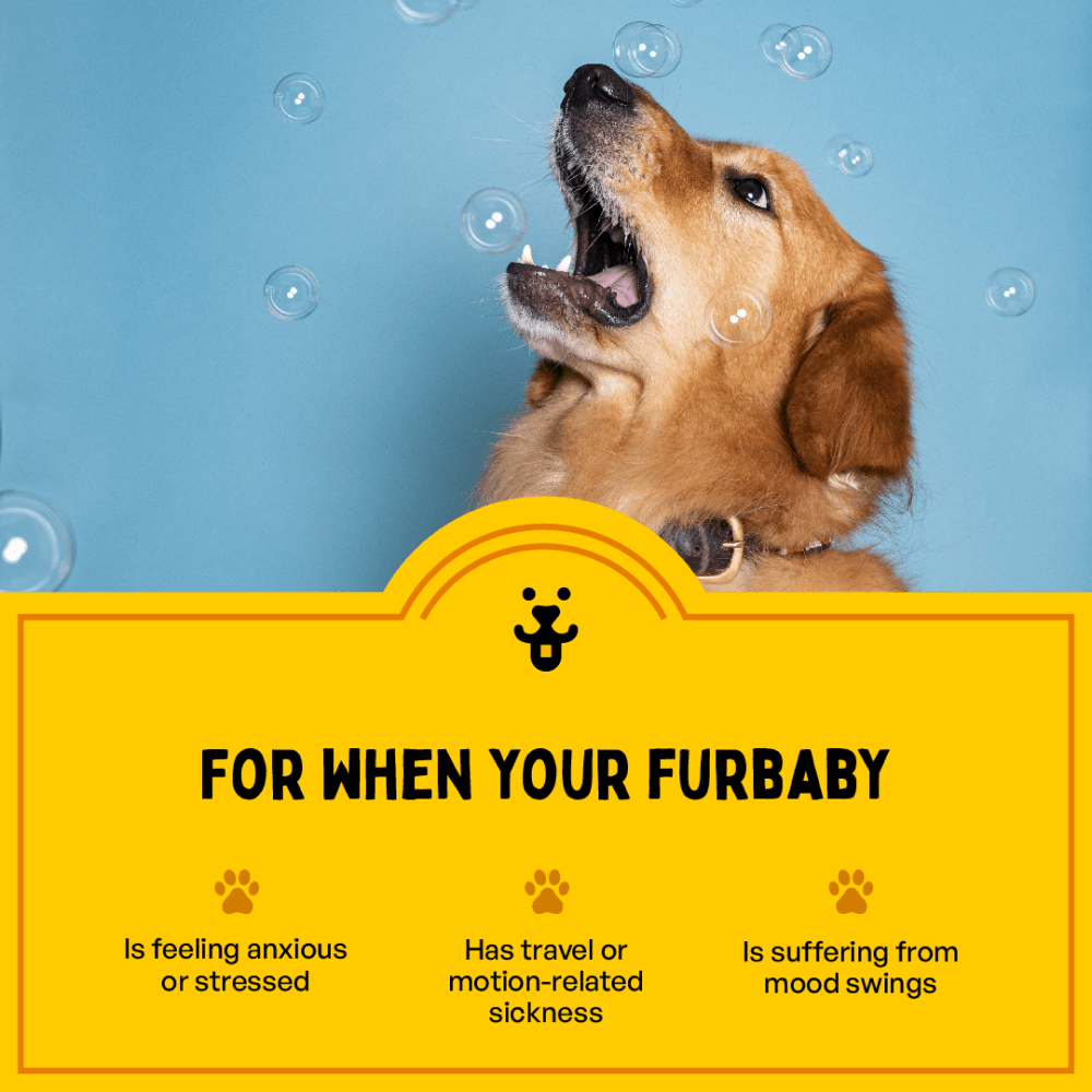 Furlicks Skin Coat & Calming Aid Health Supplement Combo for Dogs & Cats