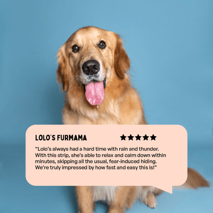 Furlicks Skin Coat & Calming Aid Health Supplement Combo for Dogs & Cats