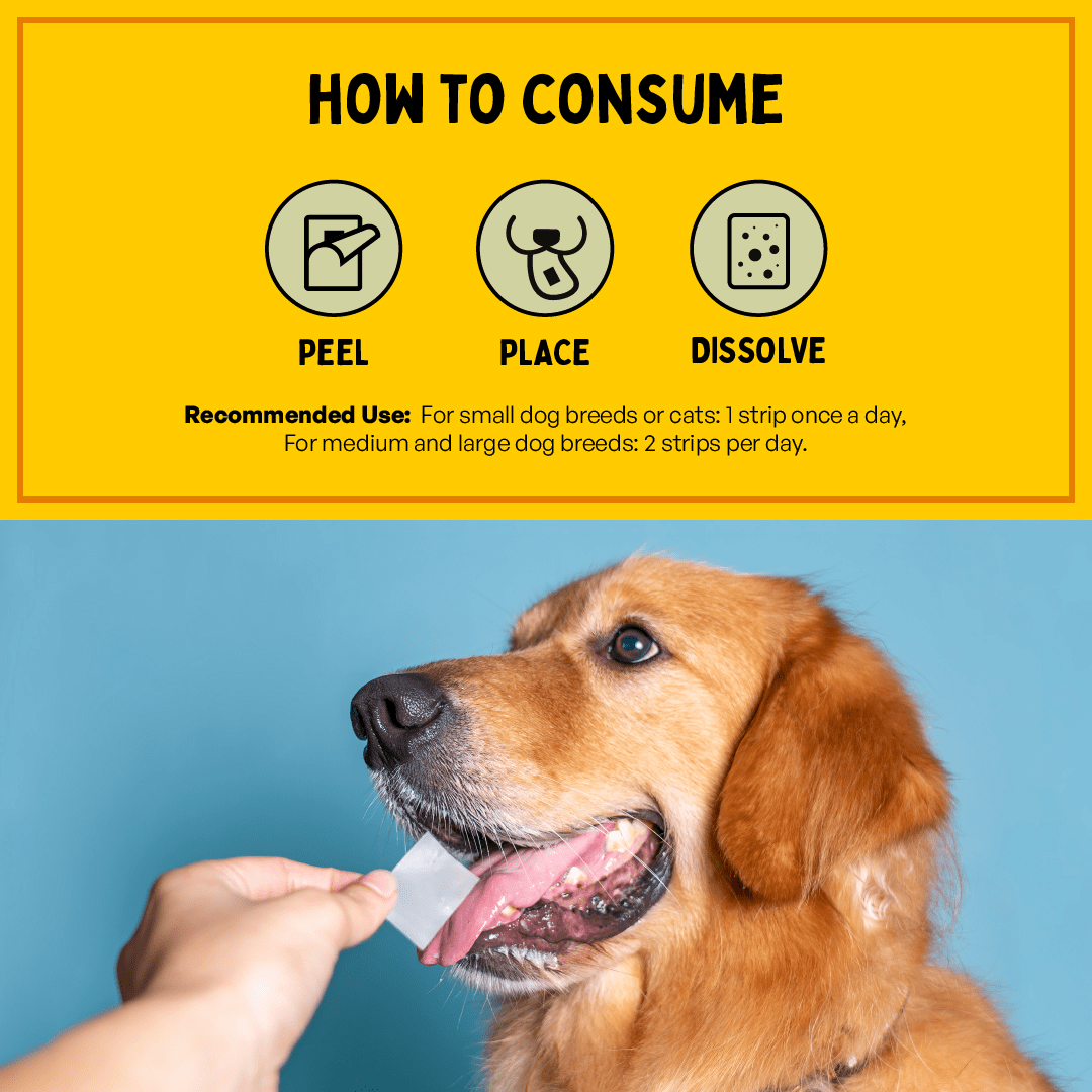 Furlicks Skin & Coat & Gut Health Supplement Combo for Dogs & Cats