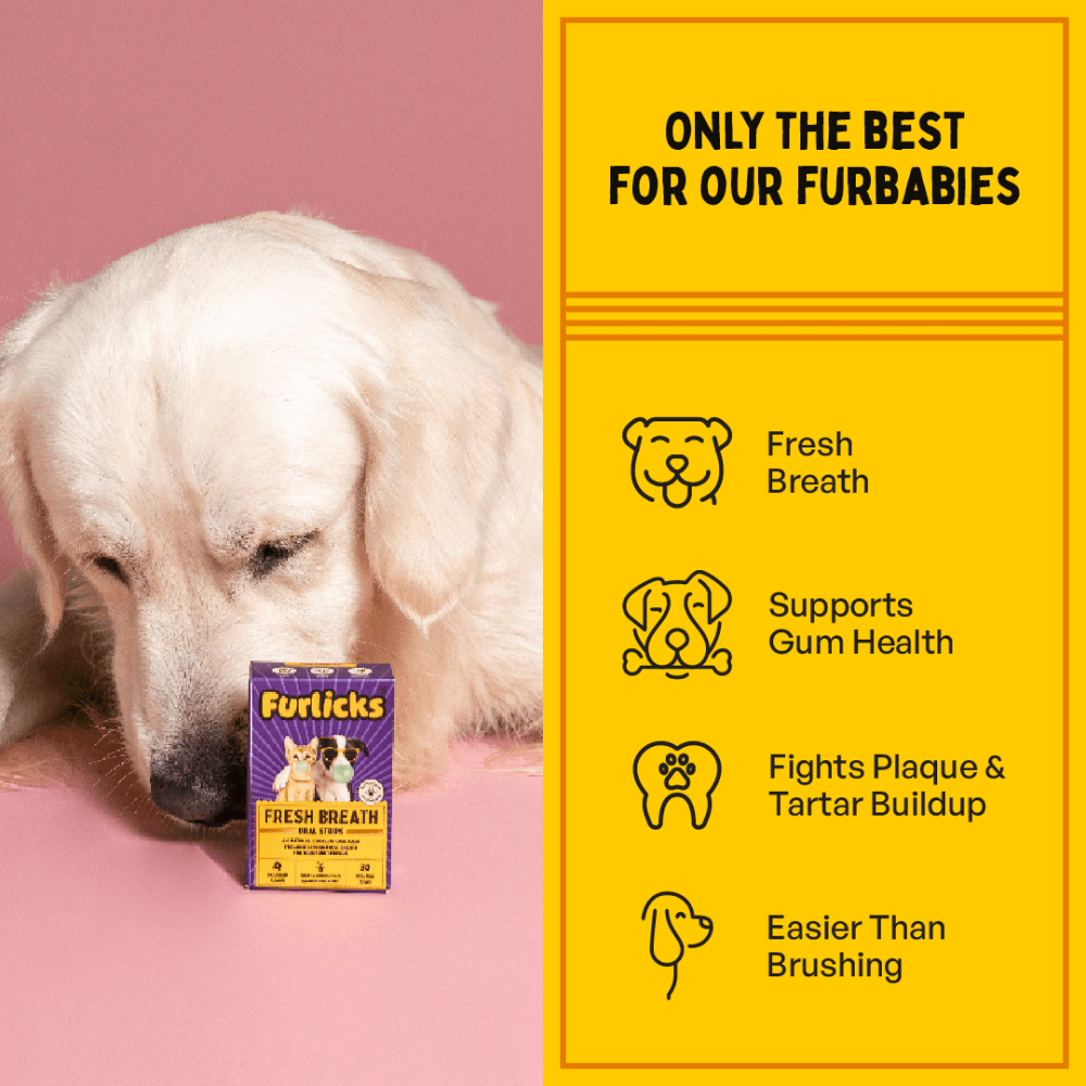 Furlicks Fresh Breath Oral & Gut Health Strips Combo for Cats and Dogs