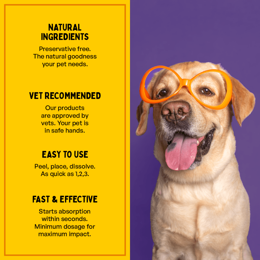 Furlicks Skin & Coat & Gut Health Supplement Combo for Dogs & Cats