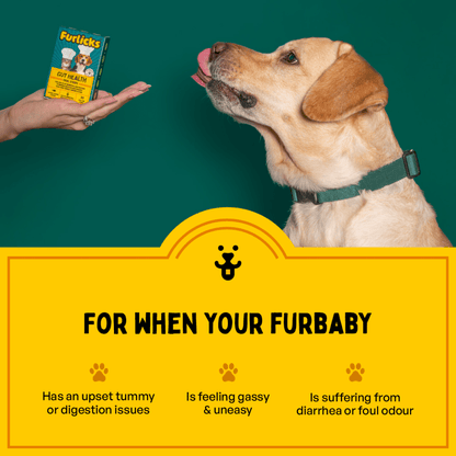 Furlicks Skin & Coat & Gut Health Supplement Combo for Dogs & Cats