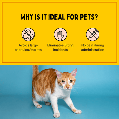 Furlicks Skin Coat & Calming Aid Health Supplement Combo for Dogs & Cats