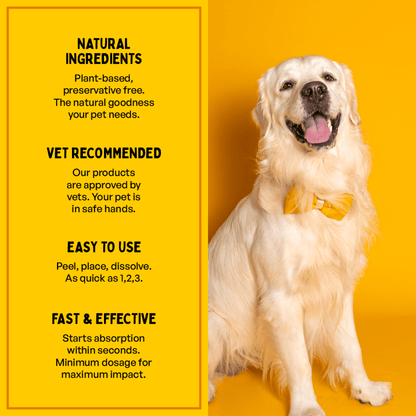Furlicks Skin Coat & Calming Aid Health Supplement Combo for Dogs & Cats