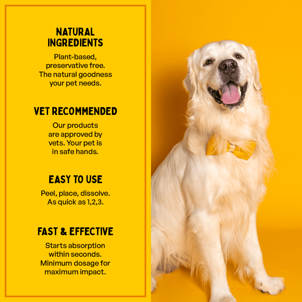 Furlicks Skin Coat & Breath Oral Health Supplement Combo for Dogs & Cats