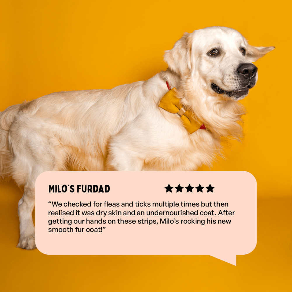 Furlicks Skin Coat & Calming Aid Health Supplement Combo for Dogs & Cats