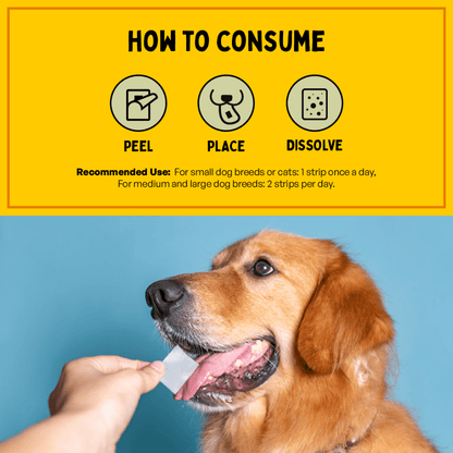 Furlicks Skin Coat & Multivitamin Supplement Combo for Dogs & Cats