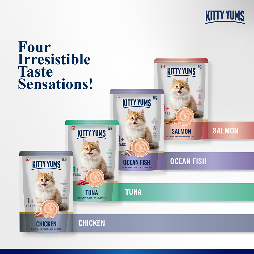 Kitty Yum Salmon Mousse Adult Cat Wet Food