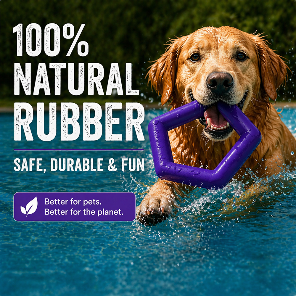 Talking Dog Club Sturdy Hexagon Floater Chew Toy for Dogs (Purple)