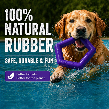 Talking Dog Club Sturdy Hexagon Floater Chew Toy for Dogs (Purple)