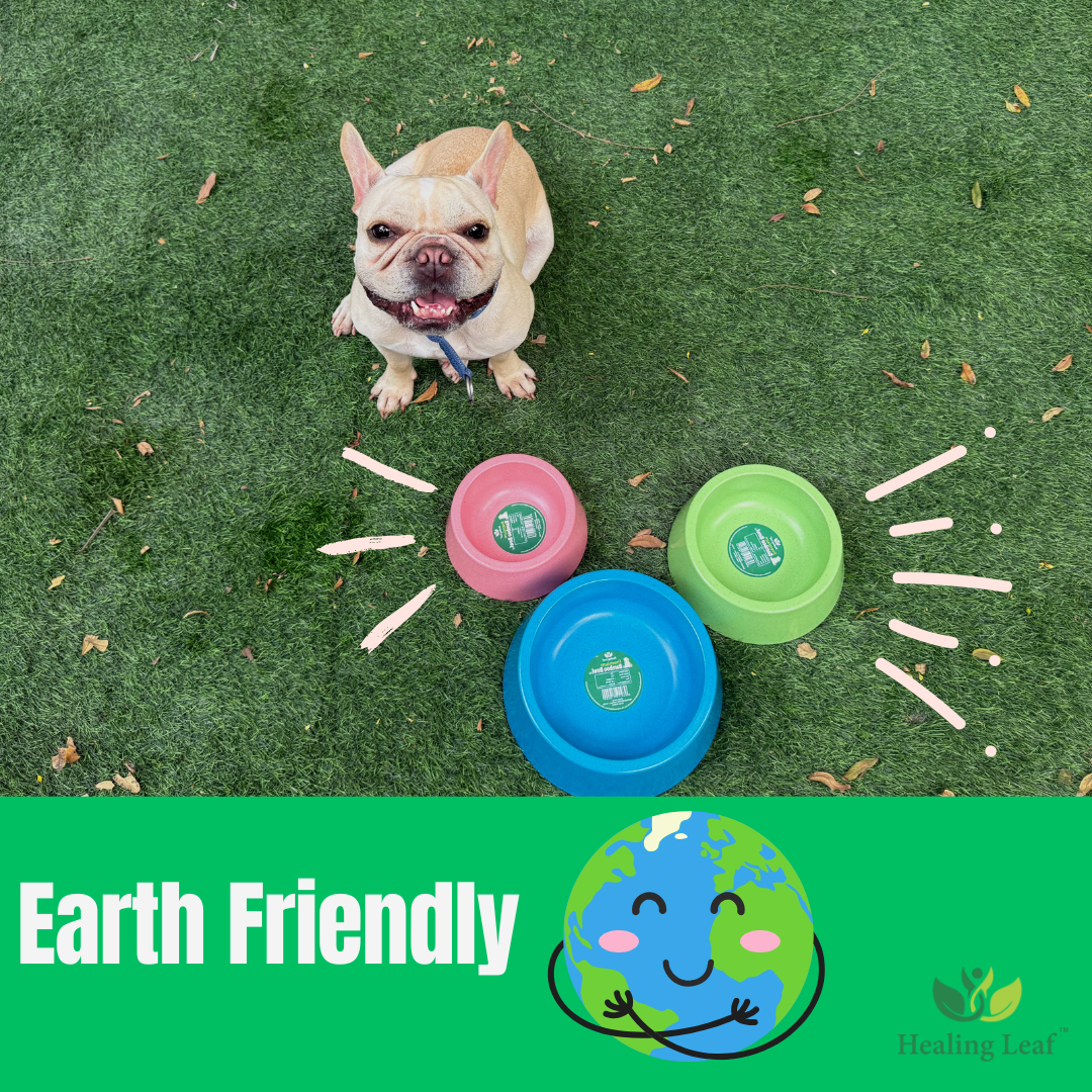 Healing Leaf Eco friendly Bamboo Bowl for Dogs and Cats (Sky Blue)
