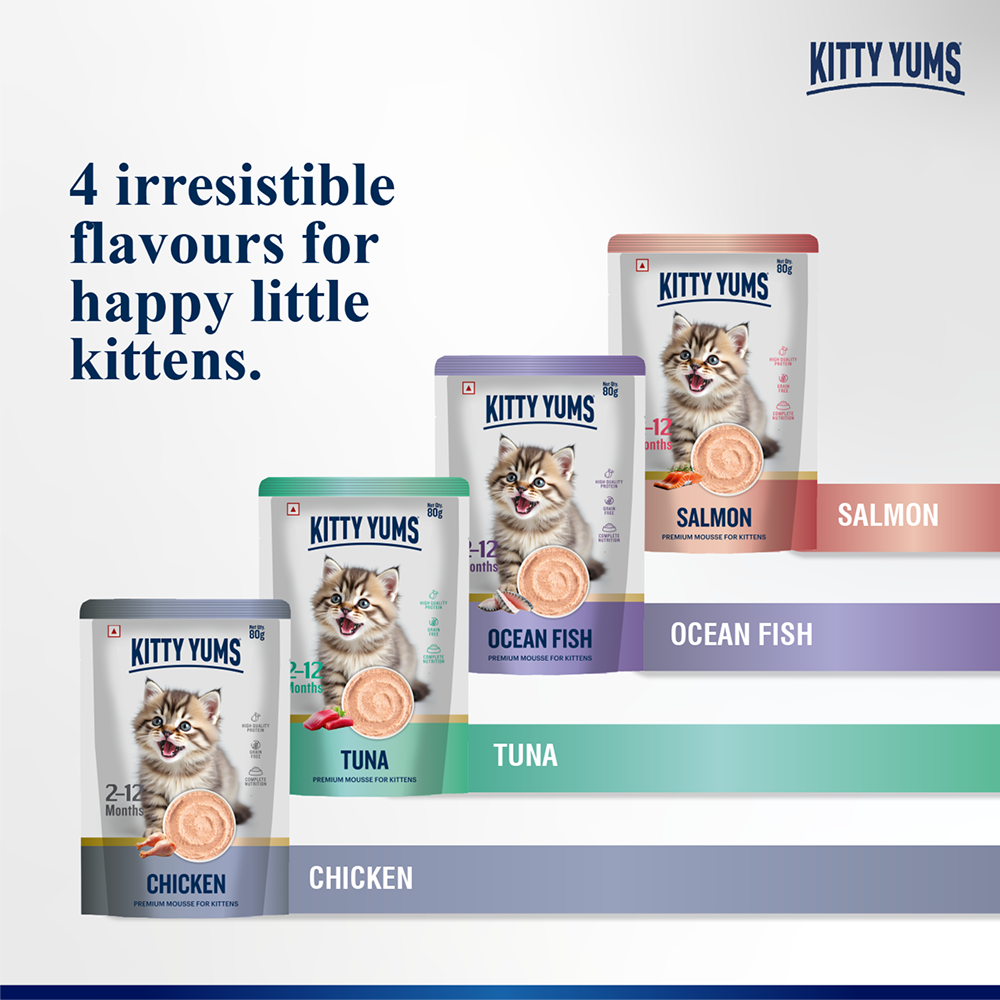 Kitty Yum Chicken Mousse Kitten Cat Wet Food