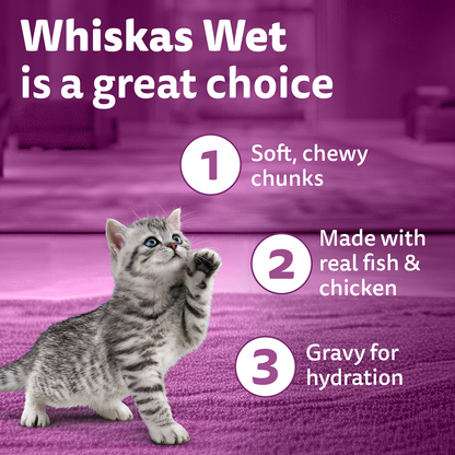 Whiskas Kitten Tasty Mix Wet Food Combo |Chicken, Tuna, Seafood & Salmon