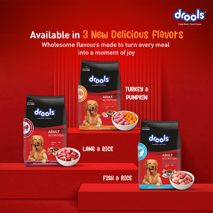 Drools Turkey and Pumpkin Adult Dog Dry Food