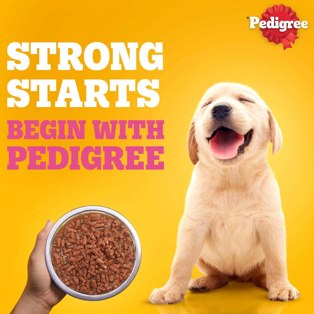 Pedigree Puppy Dog Food Combo |Chicken & Milk Dry & Chicken & Liver Wet