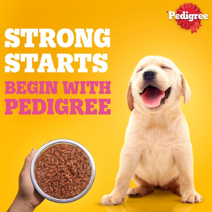 Pedigree Puppy Dog Food Combo |Chicken & Milk Dry & Chicken & Liver Wet