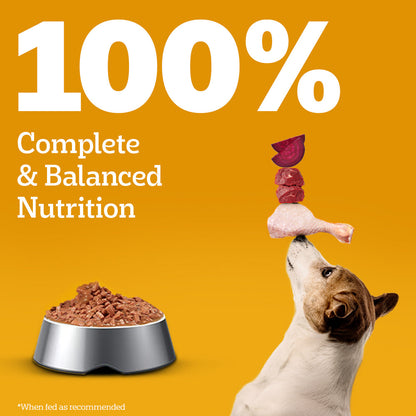 Pedigree Adult Dog Food Combo |Meat & Rice Dry & Chicken & Liver Wet