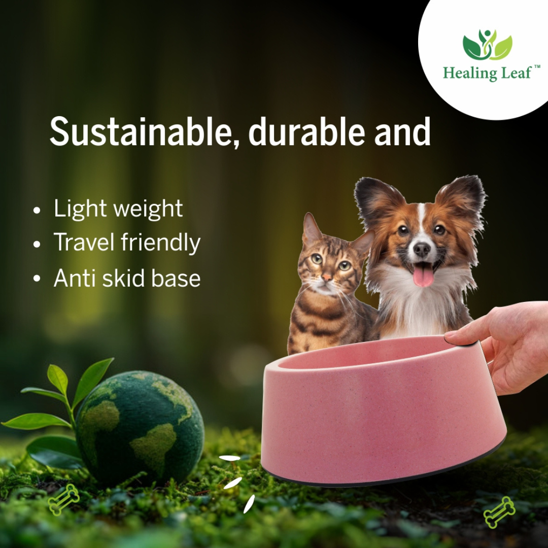 Healing Leaf Eco Friendly Cartoon Bamboo Bowl for Dogs and Cats (Green)