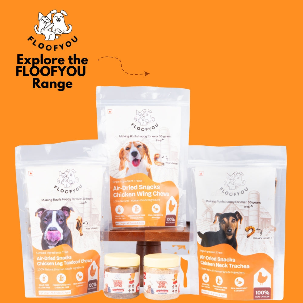 Floofyou Air Dried Chicken Neck Crunchy Dental Chew Dog Treats