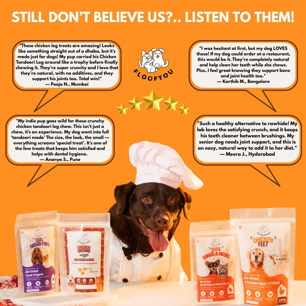 Floofyou Air Dried Chicken Leg Tandoori Crunchy Dental Chew Dog Treats