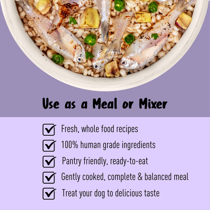 Homiee & Ginger Grain Free Mini Meals Surf & Turf, Fish Feista, Chicken & Barley Food for Dogs Combo