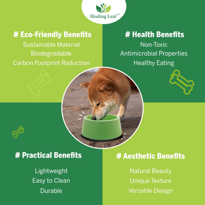 Healing Leaf Eco Friendly Dual Bamboo Bowl for Dogs and Cats (Green)
