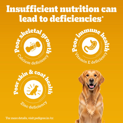 Pedigree Adult Dog Food Combo |Meat & Rice Dry & Chicken & Liver Wet