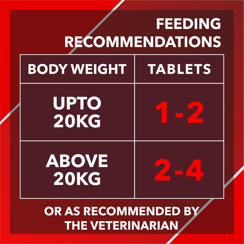 FG - Drools Absolute Calcium Dog Supplement Tablets