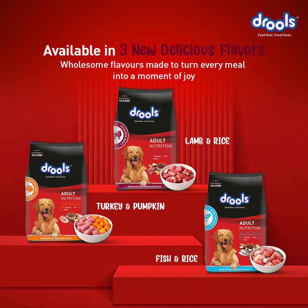 Drools Lamb and Rice Adult Dog Dry Food