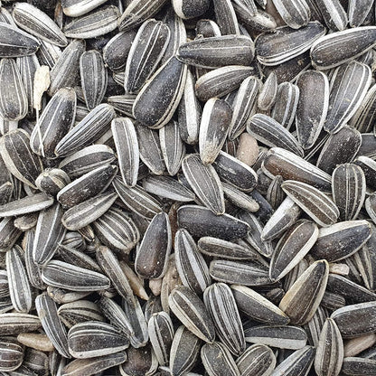 Versele Laga Sunflower Seeds Striped and Prestige Food for Big Parakeets and Birds