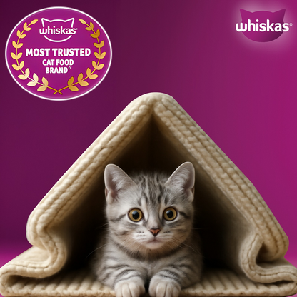 Whiskas Ocean Fish Kitten/Mother and Baby Dry Food & Petkit YumShare Solo Automatic Food Dispenser Combo for Kitten
