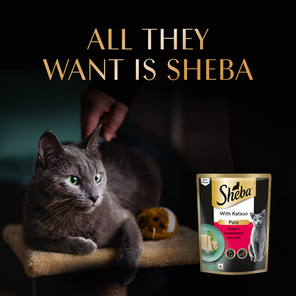 Sheba Katsuo Pate Rich Premium Adult Fine Cat Wet Food