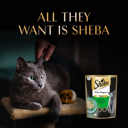 Sheba Maguro Pate Rich Premium Adult Fine Cat Wet Food