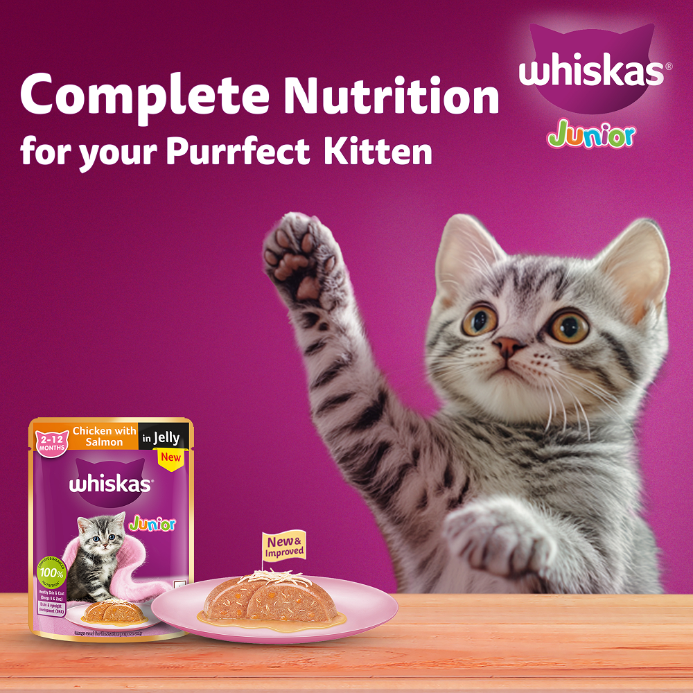 Whiskas Kitten Tasty Mix Wet Food Combo |Chicken, Tuna, Seafood & Salmon