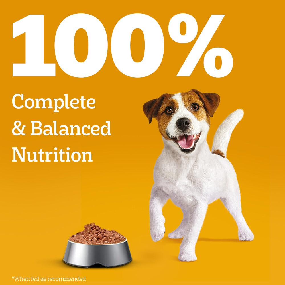 Pedigree Puppy Dog Food Combo |Chicken & Milk Dry & Chicken & Liver Wet
